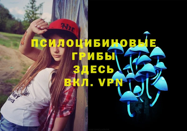 таблы Арсеньев